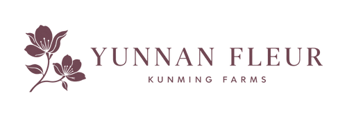 Yunnan Fleur - Kunming Farms logo